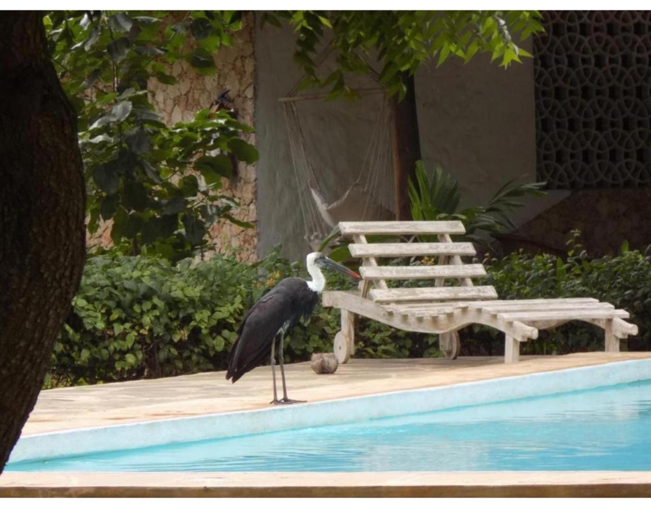 Eco Villas Watamu Exterior photo